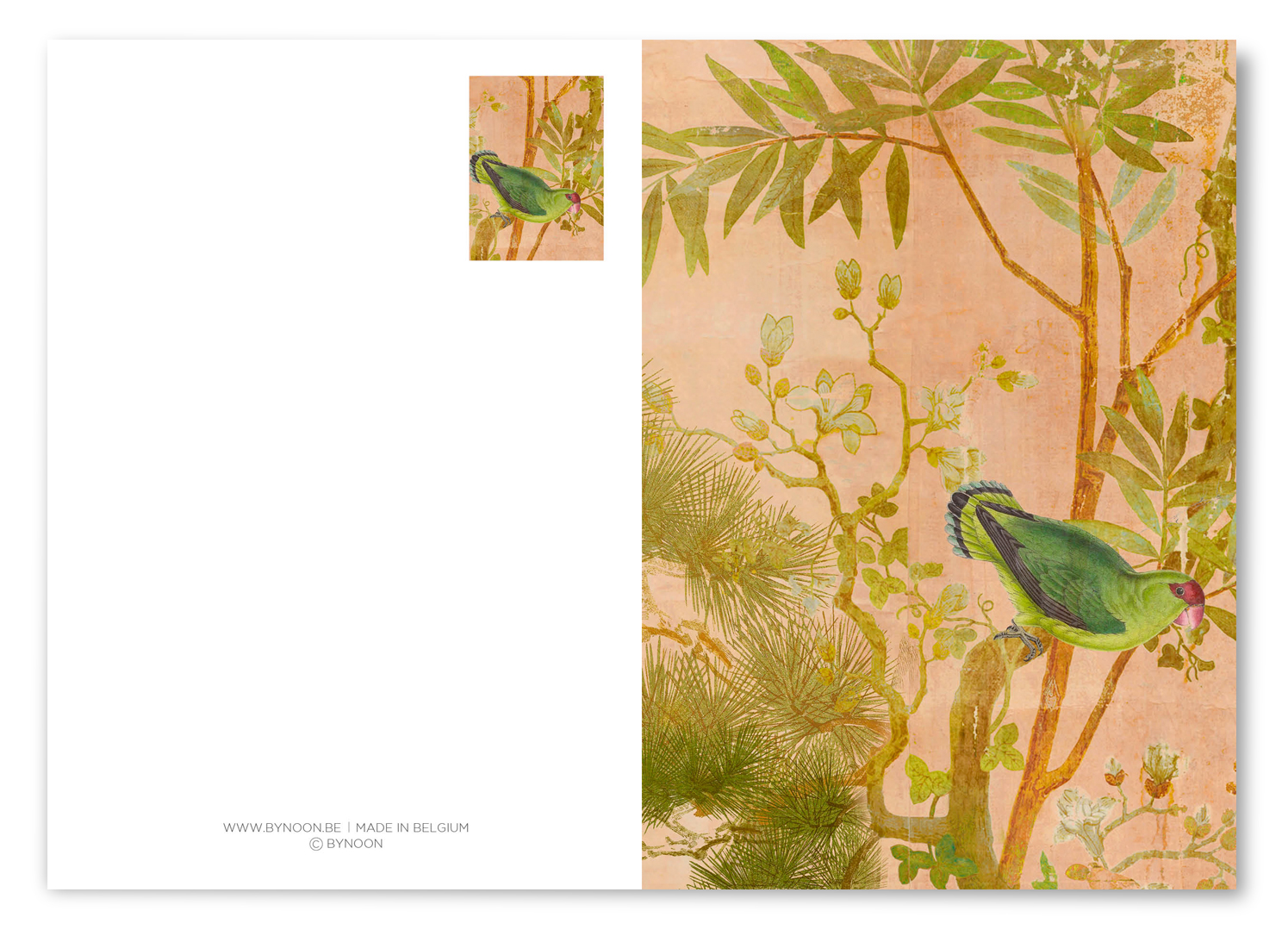 Evening Parrot - Image 2